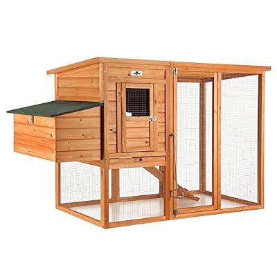 Confidence Pet Large Chicken CoopHen House with Outdoor Run