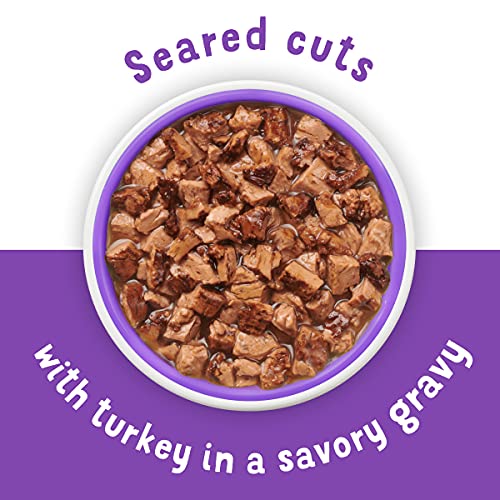 Purina Friskies Gravy Wet Cat Food Complement, Lil' Grillers Seared