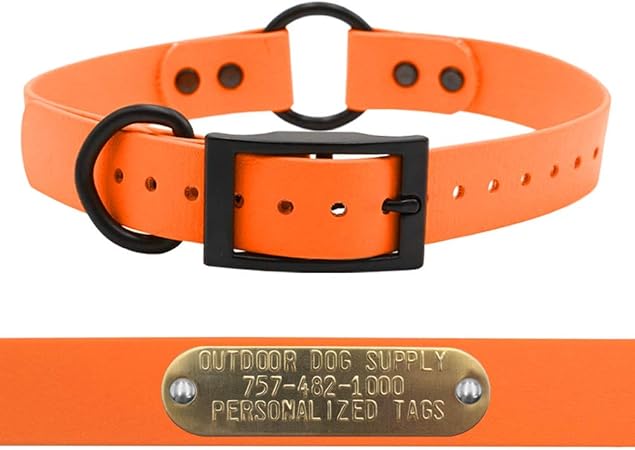 leather center ring dog collar