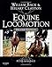 Equine Locomotion