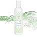 The Wonder Seed Hemp Shampoo - All Natural Organic Formula - Vegan Friendly Blend - Best Solution for Dry Itchy Scalp/Dandruff/Oily Hair & More - Proudly Cruelty Free (Green Tea) 8oz