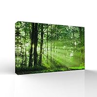 signwin-Canvas Wall Art-Sunshine in The Forest -Canvas Prints Home Artwork Decoration for Living Room,Bedroom - 12x18 inches