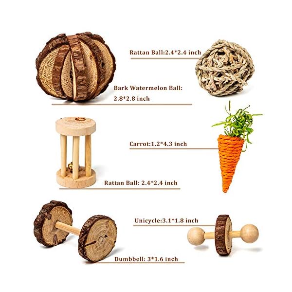 Labeol-Hamster-Chew-Toys-Accessories-Pet-Natural-Wooden-11-Pcs-Gerbil-Rat-Guinea-Pig-Chinchilla-Gerbils-Dumbbells-Accessories-Exercise-Bell-Roller-Teeth-Care-Molar-Toy-for-Parrot-Syrian-Hamster Labeol Hamster Chew Toys Small Animal Boredom Breakers Cage Accessories Pet 11 Pcs Natural Wooden Toys Hamster Ball…