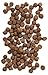 Earthborn Grain Free Primitive Feline 14 lbs