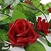 8.2ft Artificial Silk Rose Flower Ivy Vine Leaf Garland Wedding Party Home Decor,Red