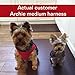 Cold Weather Dog Harness - Comfortable & Adjustable Harnesss for Dogs - Easy Walk Dog Harness (Red, Neck Size 12