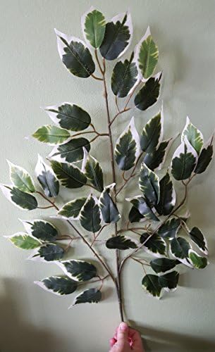 Artificial Silk Ficus Tree Branches, 12 Branches
