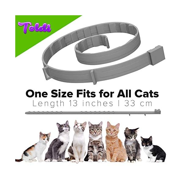 Flea Treatment Cat, FleaCollar for Cats Adjustable SmallMediumLarge
