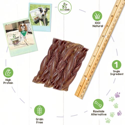 NATURE GNAWS BRAIDED PORK JERKY STICKS FOR DOGS – PREMIUM NATURAL DOG CHEW TREATS – RAWHIDE FREE DENTAL BONES – LONG LASTING TRAINING REWARD TREAT