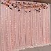 TINTON LIFE 6.6ft x 6.6ft Two Layers Tulle Backdrop Curtains for Party Wedding Baby Shower Birthday Decorations Photography Backdrop Christmas Background Decor Light Pink
