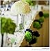 Saitec ® 12PCS Mixed Sizes White & Silver Tissue Paper Pom Poms Pompoms Wedding Birthday Party Decoration Holiday Supplies
