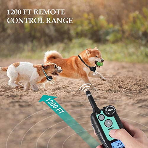 tokego dog training collar