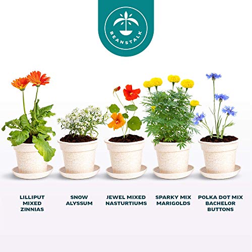 Flower Growing Kit by Beanstalk, 5 Types of NonGMO Flower Seeds