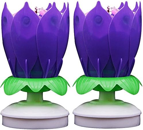 CYLHZM Party Supplies, Birthday Cake Candles (Purple X 2PCS)