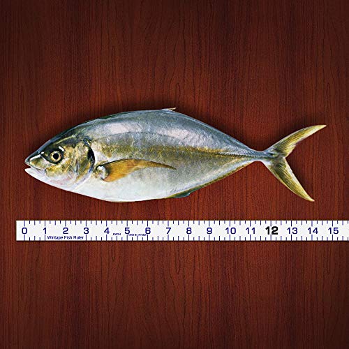 Edtape Adhesive Fish Ruler 40 Inch Fishing Measuring Tape Fish