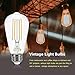 Dimmable LED Edison Bulb E26 Base 60 Watt Equivalent 2700K Warm White Filament Light Bulb 800Lm High CRI Clear Brightness Vintage Bulb for Pendant Lamp 4-Pack