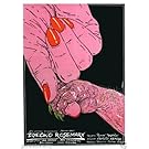 Rosemary's Baby (1968) Czech Movie Poster 24"x36"