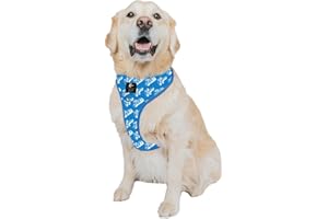 Sassy Woof Dog Adjustable Harness - Ken™ - XL, Breathable Mesh, No Pull Design with Two D-Rings, Patented Design, Ideal for Extra Large Dogs - Officially Licensed