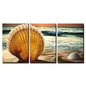Sea Shells in The Sand a Sunset x3 Panels