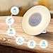 Wake Up Light Alarm Clock, Blingco Sunrise Simulator Alarm Clock with Night Light, Nature Sounds, 7 Colors Atmosphere Lamp, FM Radio, USB Charger, Touch Control for Heavy Sleepers
