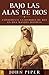 Bajo las alas de Dios: Experimente la historia de Rut en una manera distinta (Spanish Edition)