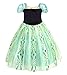 Cotrio Little Girls Anna Coronation Dress Princess Anna Costume Dress up Halloween Cosplay Fancy Dresses Size 3T (2-3yrs, Green)