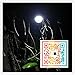 SMADZ SL21 4 in 1 LED Solar Lamp -12 Super Bright LEDs -Dimmable Function with an infrared remote control-Solar Barn/Camping/Emergency Light
