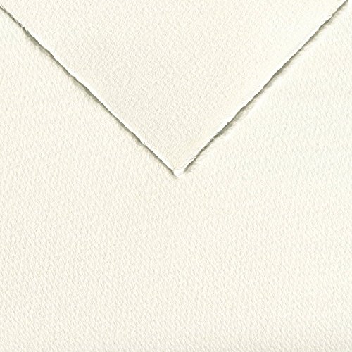 Legion Saunders Waterford Watercolor Paper, 140lb. Cold Press, 22 X 30 inches, 1 Sheet (I98-SAUCP14022)