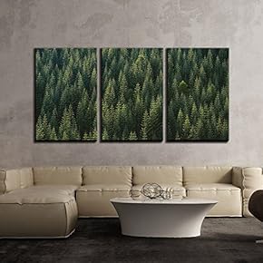3 Piece Canvas Wall Art - Nature Landscape of Forest - Modern Home Art Stretched and Framed Ready to Hang - 16"x24"x3 Panels