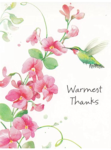 Hummingbird and Floral Thank You Card 8 Count Pack