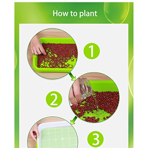 Seed Sprouter Tray, RuiyiF 2 Set Seed Germination Trays with Water Tray, Wheatgrass Tray/Bean Sprout Grower (Blue + White) - Thumbnail 5