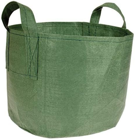 Root Pouch, Boxer Green Best Quality Grow Bag! 10 Gallon Bundle of 10
