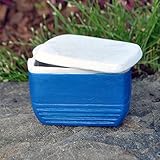 Miniature Fairy Garden Cooler, Blue
