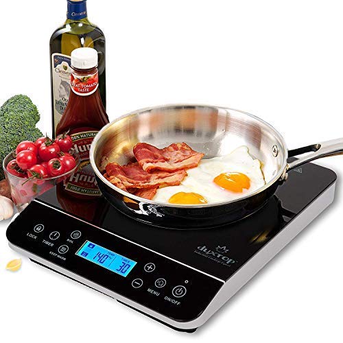 Duxtop Portable Induction Cooktop, Countertop Burner Induction Hot Plate with LCD Sensor Touch 1800 Watts, 9600LS Silver