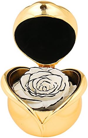 Angel Lover Mothers Day Flowers,Preserved Flower Rose,Never Withered Roses,Upscale Immortal Flowers,Gifts Women,Her,Girls,Sister, Mother's Day,Valentine's Day,Anniversary,Birthday,Wedding (F.White)