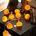 Halloween Pumpkin String Lights, Qualife 6.6ft 20 LED Copper Wire Holiday Party Terror Wall Hanging Decoration, Bulk 3D Night Lamp for Outdoor Indoor Home, Warm White, 3 AA Battery Powered.(PL005)