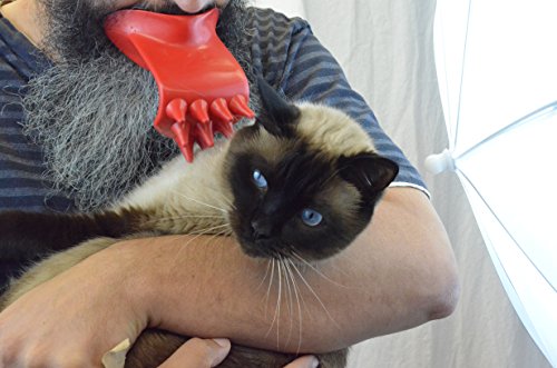 Lickem-Tongue-Cat-Brush-Scratcher-Fairly-Odd-Novelties-Funny-Novelty-White-Elephant-Gag-Gift-For-Cat-Lovers