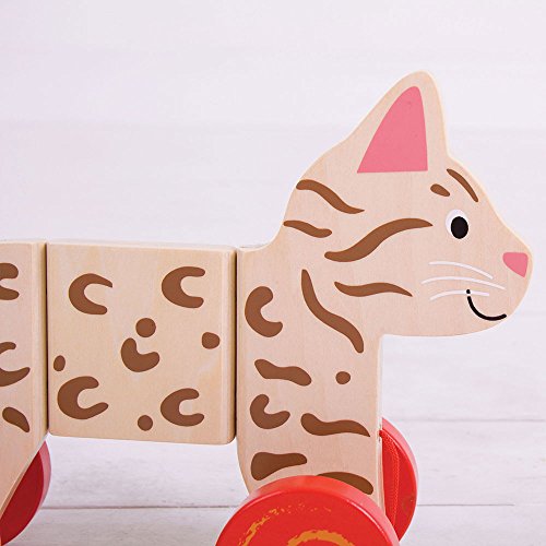 Bigjigs Toys Cat Pull Along