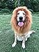 IN HAND Dog Lion Mane,Funny Lion Mane for Dogs,Lion Mane Costumes, Lion Wig for Medium to Large Dogs, Lion Mane Wig for Christmas,Party