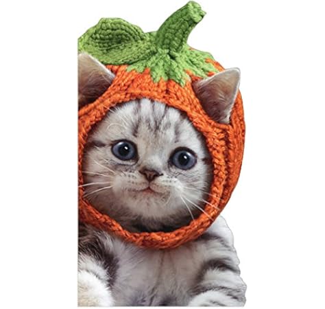 kittens in hats