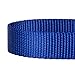 Blueberry Pet Essentials Small Dog Collar in Royal Blue | Adjustable & Eco-Friendly Durable Nylon Strap | Classic Collar for Small Dogs, Boy & Girl Pets