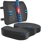 CushZone Seat Cushion, Lumbar Support Pillow with