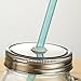 Dakoufish 12 Piece 9 Inch Reusable Plastic Thick Drinking Straws BPA Free Mason Jar Straws Plain Color (9inch,White)
