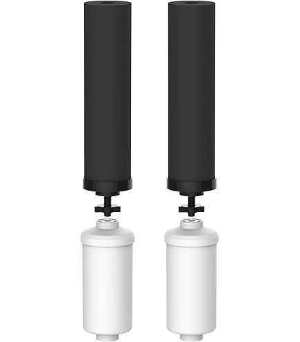 Amazon.com: Set of 2 Berkey Authentic Black Berkey Elements (BB9-2