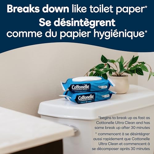 Cottonelle Fresh Care On-The-Go Flushable Wet Wipes, Adult Wet Wipes, 24 On-The-Go Packs, 2 Trays of 12, 14 Wipes per Pack (336 Total Flushable Wipes), Packaging May Vary