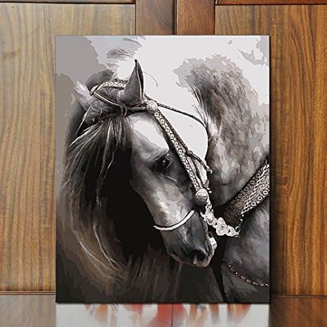 Gosunfly Painting Diy Digital Oil Painting Animal Habit Horse Head Art Hand Painted Shade Drawing Living Room Bedroom Decoration Painting 40 50 Mx Amazon De Kuche Haushalt