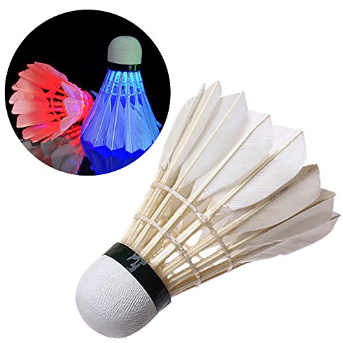 Top Badminton Shuttlecocks and Birdies Try Badminton