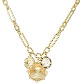 FAUTHENTICUTE Chunky Gold Pendant Necklaces For Women Gold Chain links With Sun Heart Lion Conch Shell Charms Summer Necklaces Beach Jewelry Gift