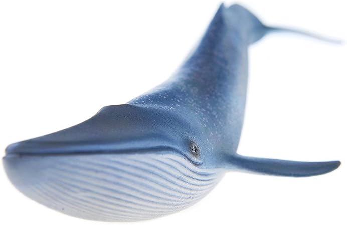 blue whale figure