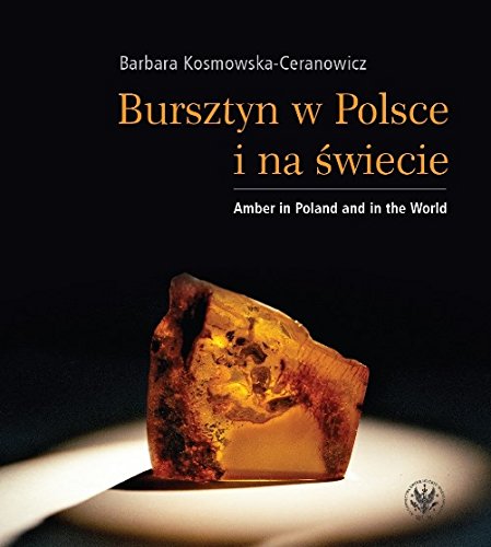 Bursztyn w Polsce i na swiecie / Amber in Poland and in the World